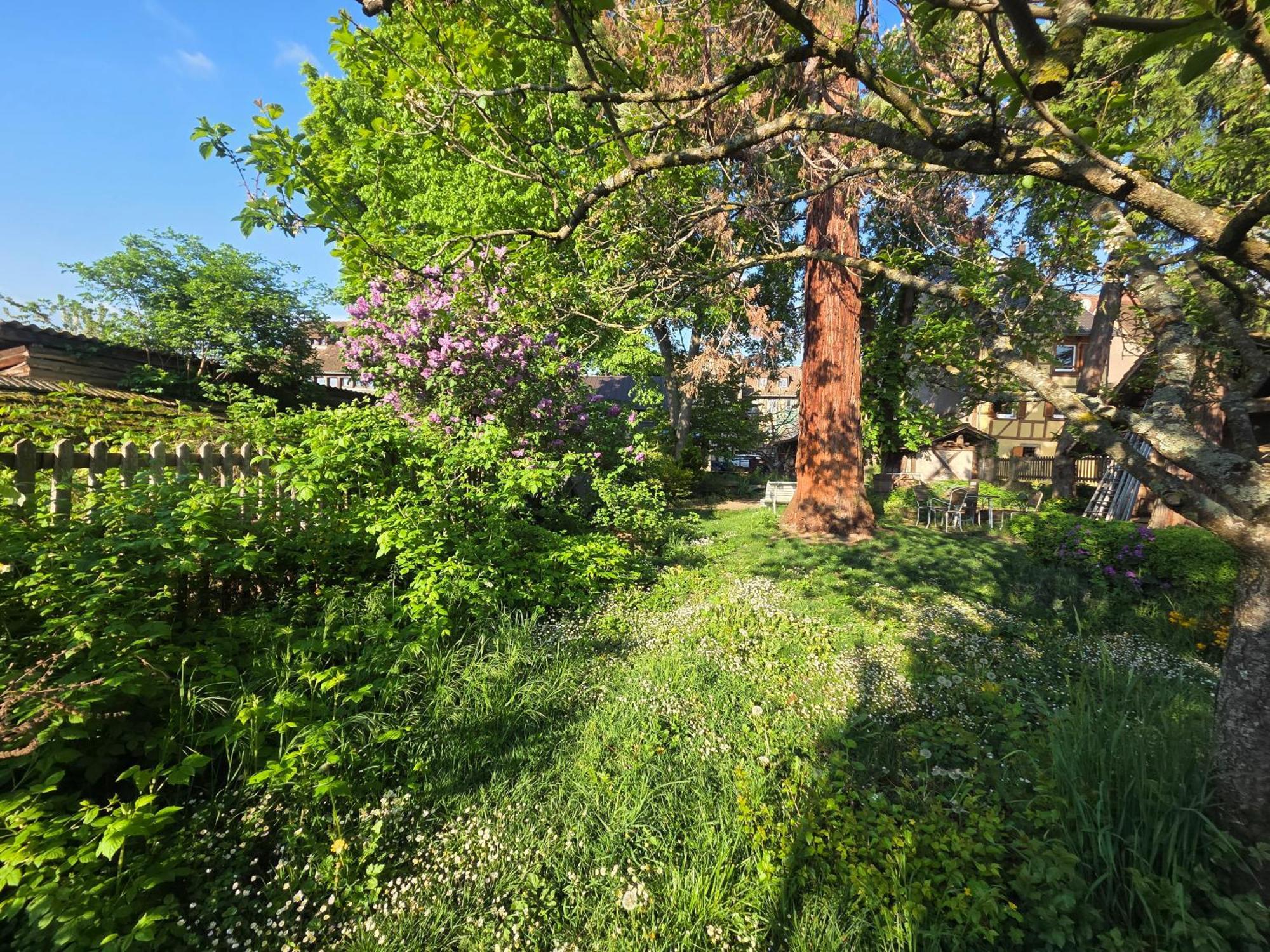 바 Le Temps Des Cigognes 빌라 외부 사진